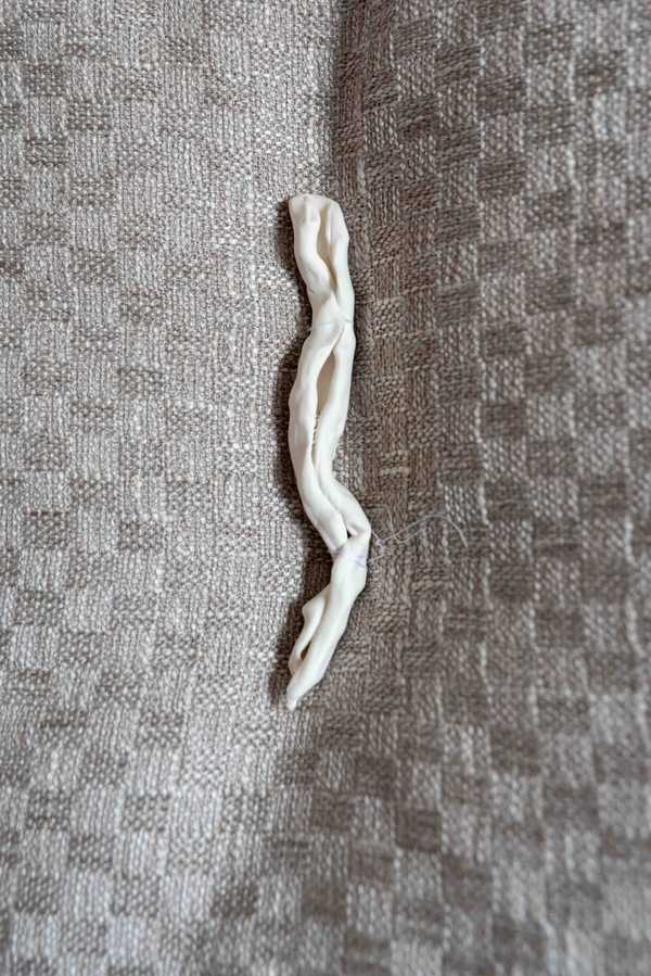 Kapitonaj (close up)